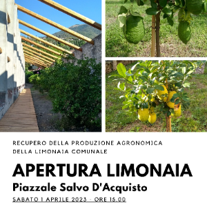 APERTURA LIMONAIA