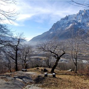 CORSO ARCHEO - AMBIENTALE