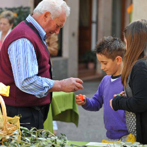 FESTA DELLO SCIAPI'