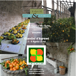GIARDINI D'AGRUMI