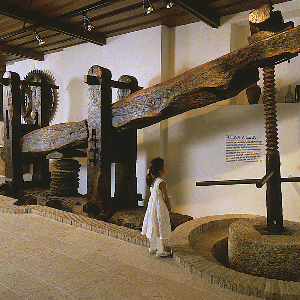 MUSEO DELL'OLIO D'OLIVA