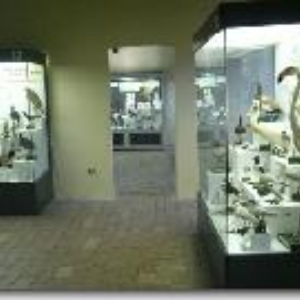 MUSEO ORNITOLOGICO