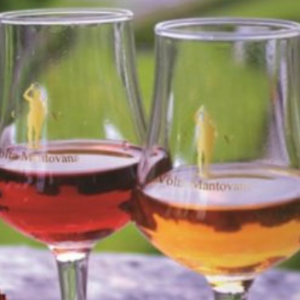 Mostra nazionale vini passiti e da meditazione