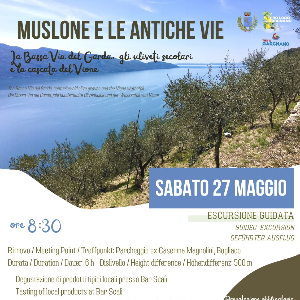 Muslone e le antiche vie: la Bassa Via del Garda, gli uliveti secolari e la cascata del Vione