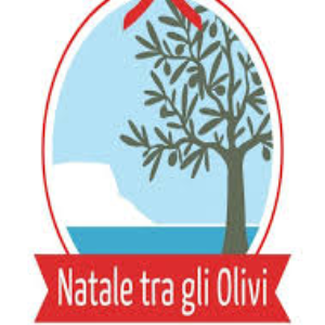 Natale tra gli olivi a Garda