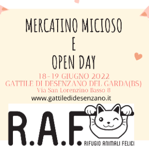 OPEN DAY E MERCATINO MICIOSO