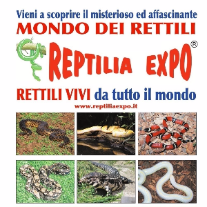 REPTILIA EXPO - L'affascinante mondo dei rettili