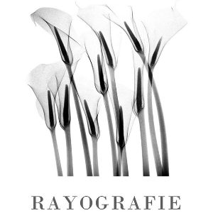 Rayografie