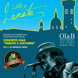 STELLE SU LONATO CONCERTO TRIBUTO A ZUCCHERO