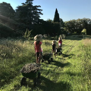 Tour delle Erbe del Garda