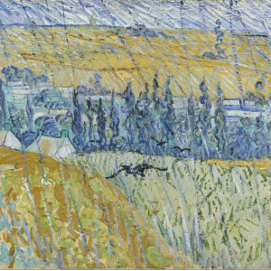 Van Gogh A Vicenza Tra Il Grano E Il Cielo Lago Di Garda Eventi Manifestazioni E Appuntamenti