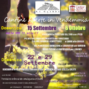 Vendemmia in famiglia