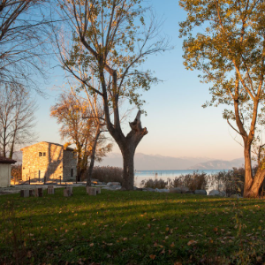 YOGA TRA SUONI E NATURA