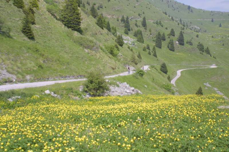 Parco dell'Alto Garda Bresciano