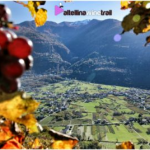 Sondrio, Valtellina Wine Trail 2k16, sempre più International