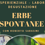 Erbe spontanee tour