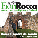 FIORI NELLA ROCCA