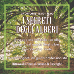 GIRORIENTANDO-I SEGRETI DEGLI ALBERI