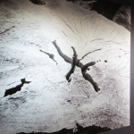 IF TREES COULD SPEAK