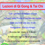 Lezioni di Qi gong e Tai Chi