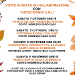 Visita al MUSEO SANTA GIULIA DI BRESCIA