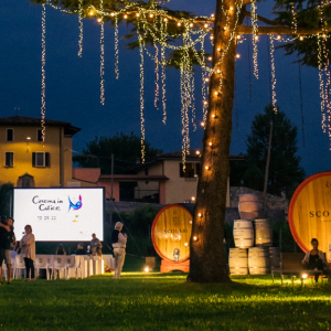 Cinema in calice