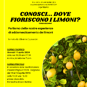 Corso Teorico e Pratico addomesticamento dei Limoni