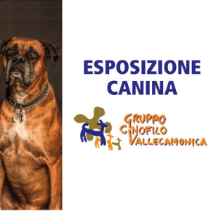 ESPOSIZIONE CANINA