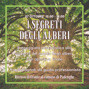 GIRORIENTANDO-I SEGRETI DEGLI ALBERI