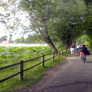 In bicicletta tra le Colline Moreniche e il Garda