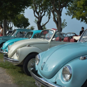 Raduno nazionale del maggiolino Volkswagen