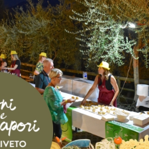Serata suoni e sapori nell'uliveto