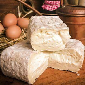 Vie del Gusto – Il formaggio di malga Passo Nota 2023