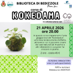 Corso di Kokedama