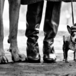Elliot Erwitt: