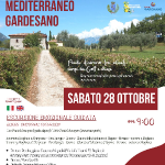 MEDITERRANEO GARDESANO