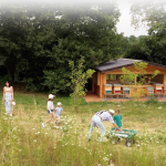 Officina delle erbe del Garda