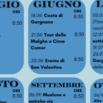 Peonia Tour