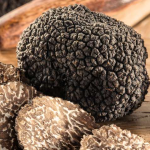 SAGRA DEL TARTUFO