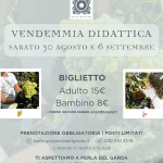 VENDEMMIA DIDATTICA