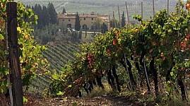 Vino Valtenesi Chiaretto